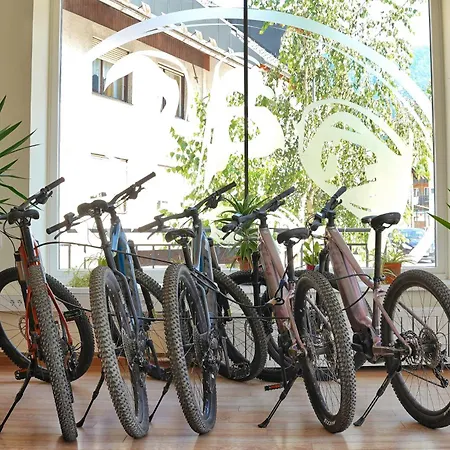 House Budkovic Хостел Бохинь