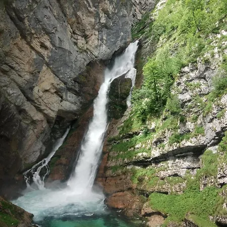 Auberge de jeunesse House Budkovic