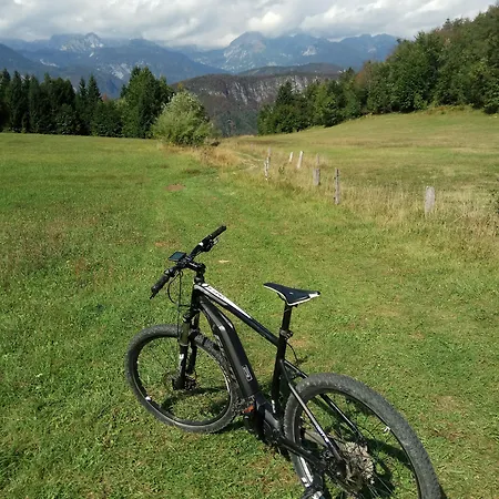 House Budkovic * Bohinj