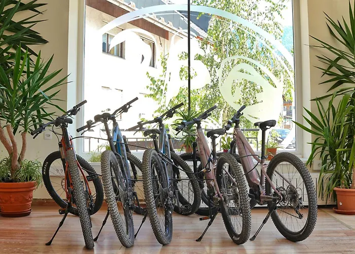 House Budkovic Хостел Бохинь