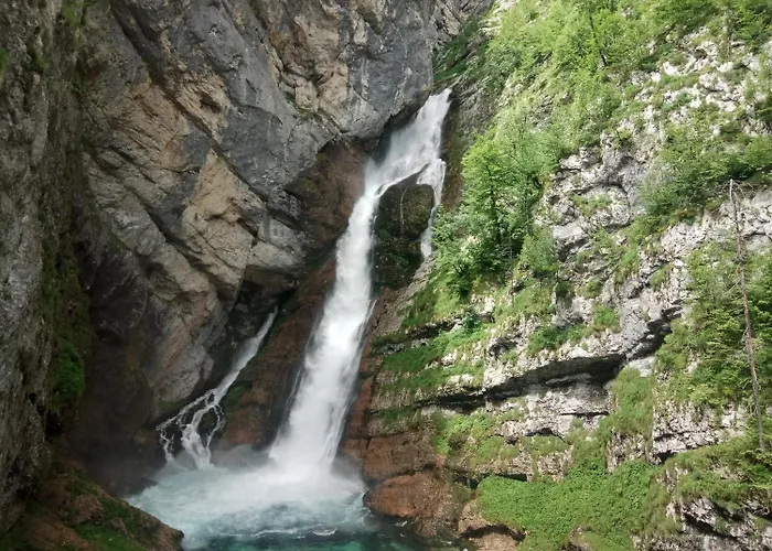 Hostel House Budkovic