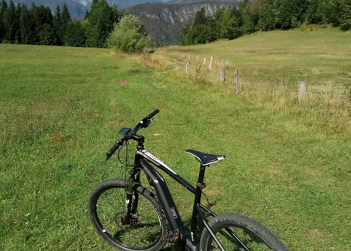 House Budkovic * Bohinj