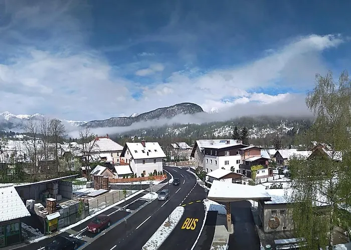 House Budkovic Бохинь